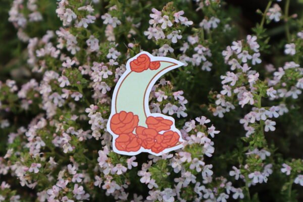 IMG_0204 Stickers Lune et Fleur