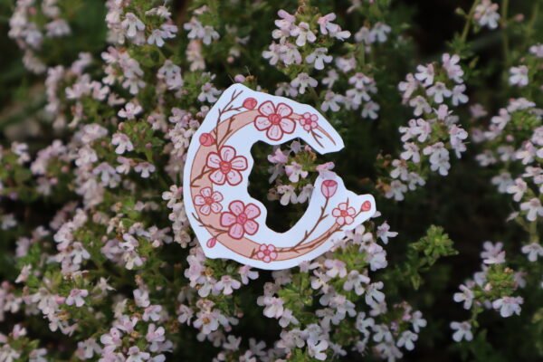 IMG_0206 Stickers Lune et Fleur
