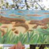 Carte - Plage de galets