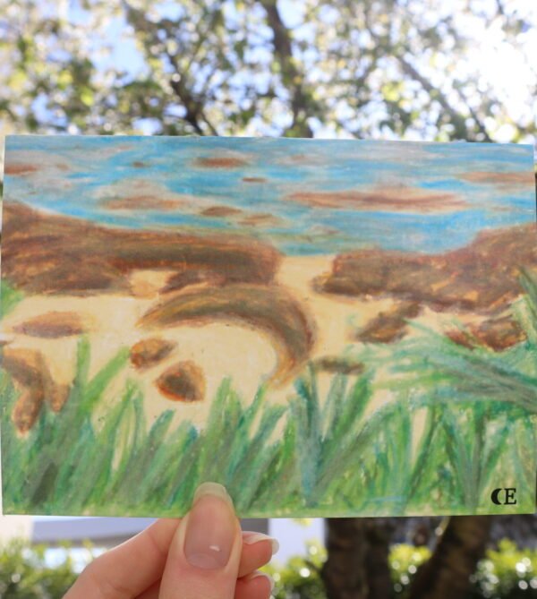 Carte - Plage de galets
